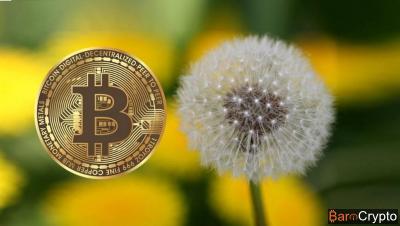 Les développeurs Bitcoin conçoivent la version prototype de Dandelion