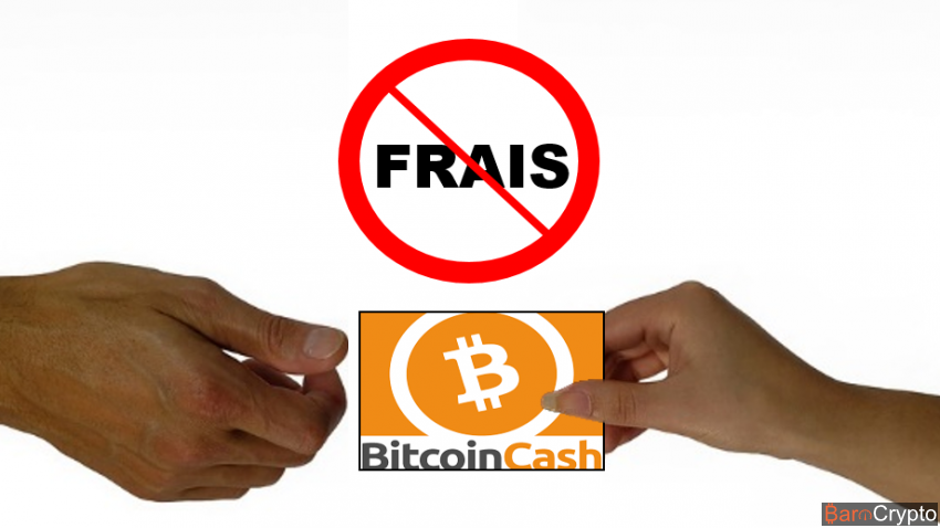 Craig Wright demande l'adoption du Miner's Choice