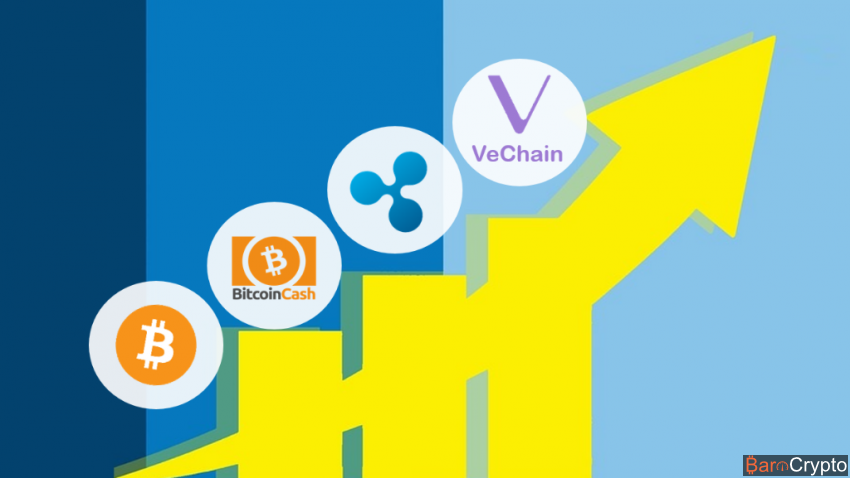 Le Bitcoin se stabilise le Ripple en hausse et les tokens cartonnent