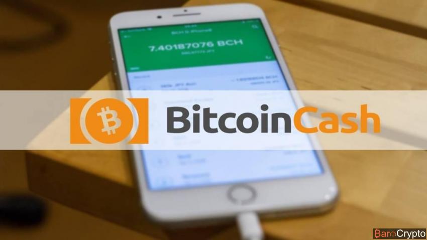 Le prix du BCH a chuté ces derniers mois, et son utilisation également