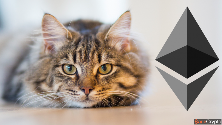 CryptoKitties jeu basé sur Ethereum